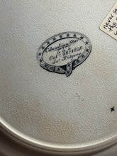 Load image into Gallery viewer, Historical Staffordshire Grey Transfer Columbian Star Plate Harrison Campaign