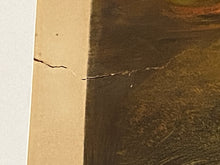 Load image into Gallery viewer, Original Currier & Ives Print Large Folio American Speckled Brook Trout Tait