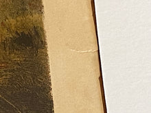 Load image into Gallery viewer, Original Currier & Ives Print Large Folio American Speckled Brook Trout Tait