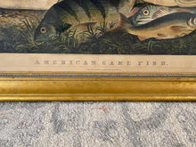 Load image into Gallery viewer, Original Currier & Ives Print Large Folio American Game Fish