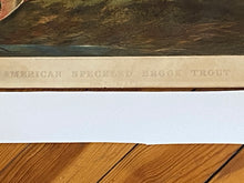 Load image into Gallery viewer, Original Currier & Ives Print Large Folio American Speckled Brook Trout Tait