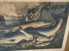 Load image into Gallery viewer, Original Currier & Ives Print Large Folio American Game Fish