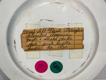 Load image into Gallery viewer, Historical Staffordshire Rust Color Transfer Eagle And Shield Luster Plate 1820