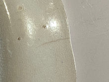 Load image into Gallery viewer, Historical Staffordshire Dinner Plate Baltimore and Ohio Railroad Level Version