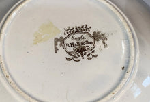 Load image into Gallery viewer, Historical Staffordshire Brown Transfer Eagle On Shell Cup and Saucer 1835
