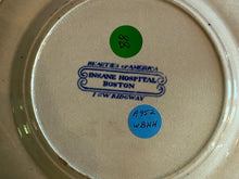 Load image into Gallery viewer, Historical Staffordshire Insane Hospital Boston Plate
