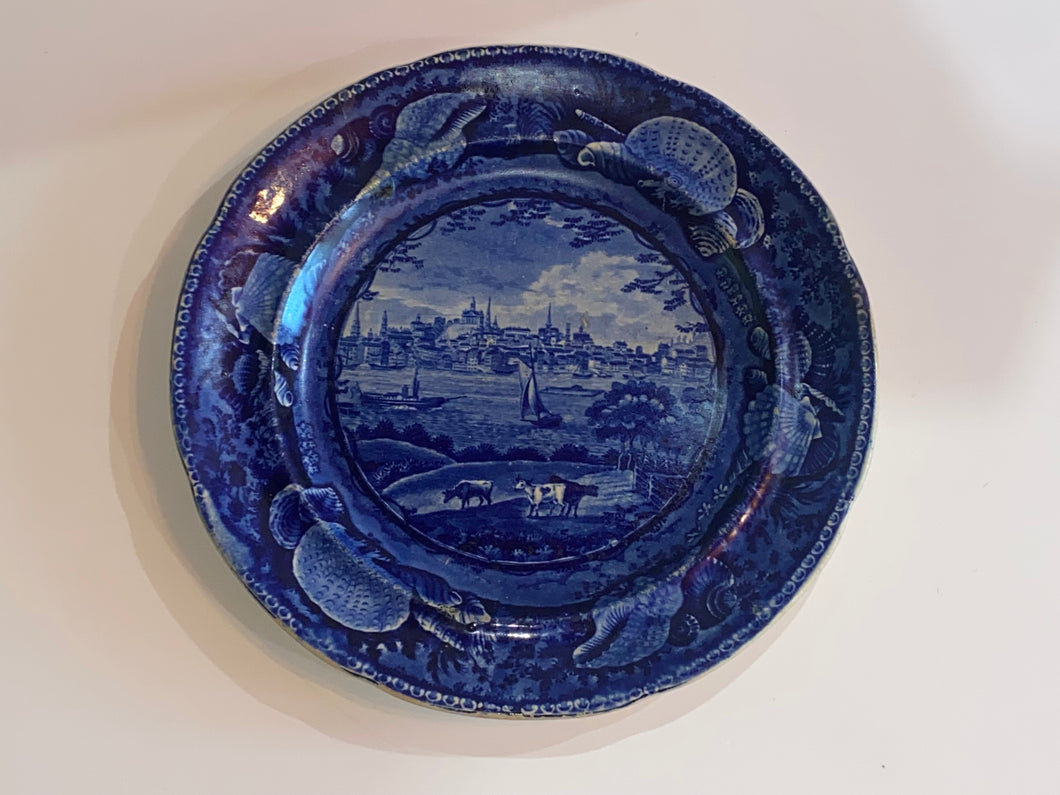 Historical Staffordshire Blue City of Albany State of New York Dinner Plate