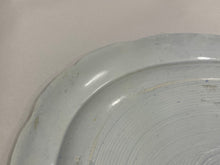 Load image into Gallery viewer, Historical Staffordshire Blue Large States Pattern Platter
