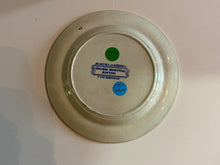 Load image into Gallery viewer, Historical Staffordshire Insane Hospital Boston Plate
