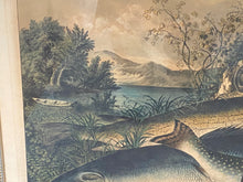 Load image into Gallery viewer, Original Currier &amp; Ives Print Large Folio American Game Fish
