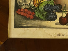Load image into Gallery viewer, Original Currier and Ives Print Fruits of the Seasons
