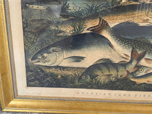Load image into Gallery viewer, Original Currier &amp; Ives Print Large Folio American Game Fish
