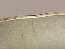 Load image into Gallery viewer, Historical Staffordshire Dinner Plate Baltimore and Ohio Railroad Level Version
