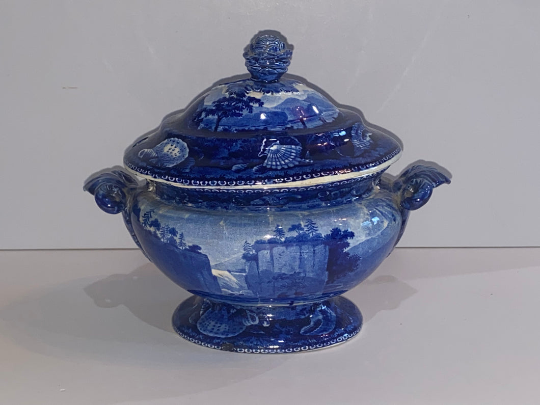 Historical Staffordshire Passaic Falls State Of New Jersey Gravy Tureen 1825